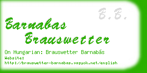 barnabas brauswetter business card